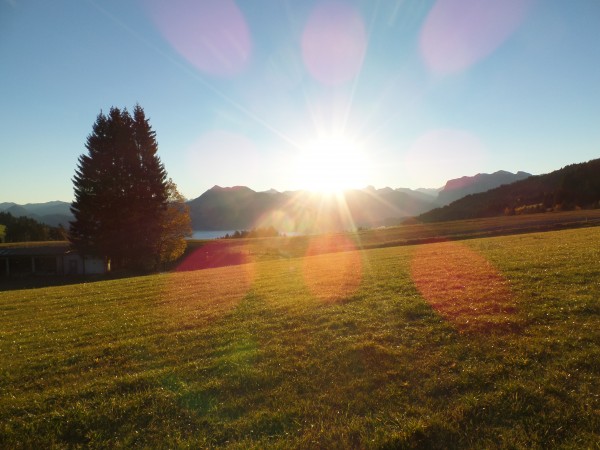 Herbstlandschaft