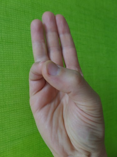 VERUNA MUDRA