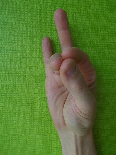 RUDRA MUDRA