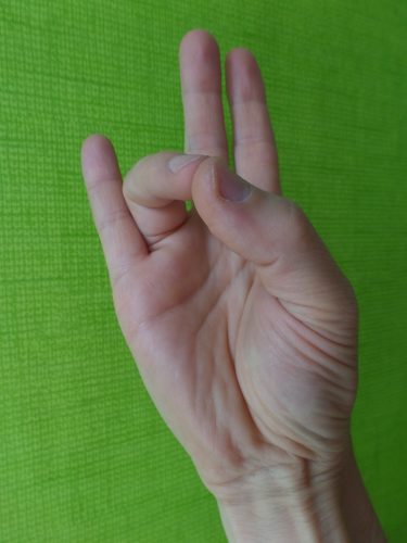 PRITHVI MUDRA