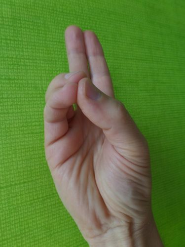 PRANA MUDRA