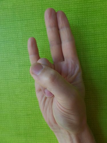 SURYA MUDRA