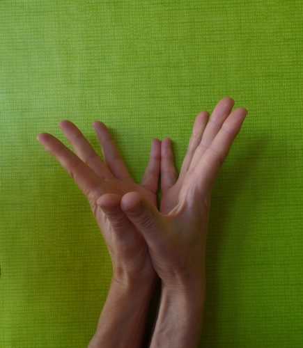 PANKAJA MUDRA hilft bei Gelenkschmerzen